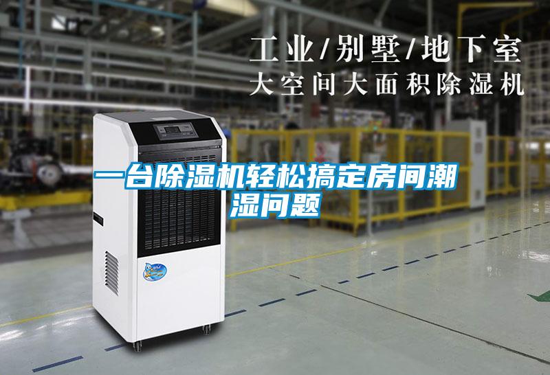 一台麻豆视频黄网站轻松搞定房间潮湿问题