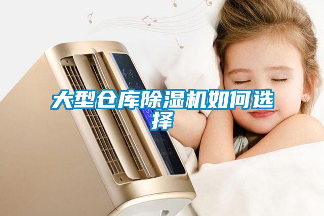 大型仓库麻豆视频黄网站如何选择