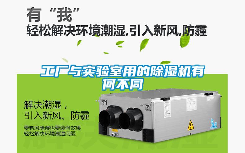 工厂与实验室用的麻豆视频黄网站有何不同
