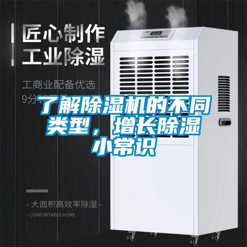了解麻豆视频黄网站的不同类型，增长除湿小常识