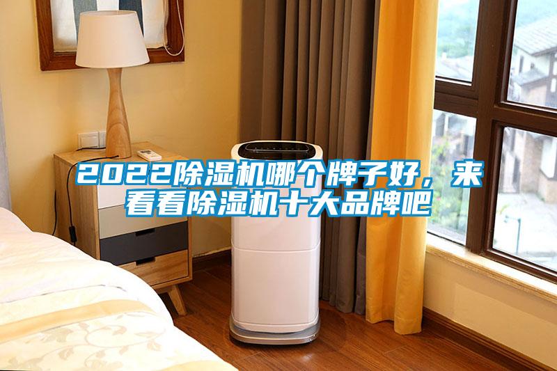 2022麻豆视频黄网站哪个牌子好，来看看麻豆视频黄网站十大品牌吧