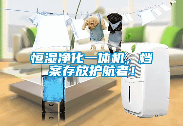 恒湿净化一体机，档案存放护航者！